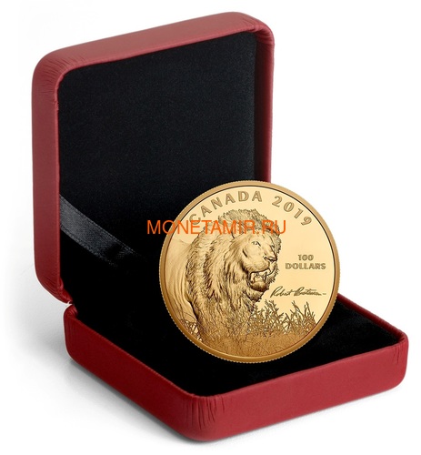 Канада 100 долларов 2019 Лев Художник Роберт Бейтман (Canada 100$ 2019 Robert Bateman Into The Light Lion 10 oz Silver Coin Gold Plating).Арт.65 (фото, вид 3)