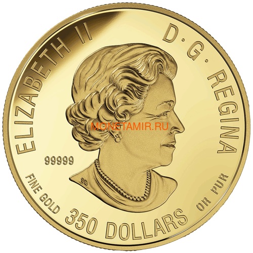  350  2019     (Canada 350$ 2019 Cougar Wildlife Portraits 35 gr Gold Proof Coin)..1295EK1.432600E/75 (,  1)