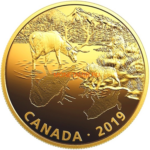 Канада 30 долларов 2019 Касатка и Морские Львы Хищник и Добыча (Canada 30$ 2019 Predator and Prey Orca and Sea Lions 2 oz Gold Plated Silver Coin).Арт.65 (фото, вид 4)