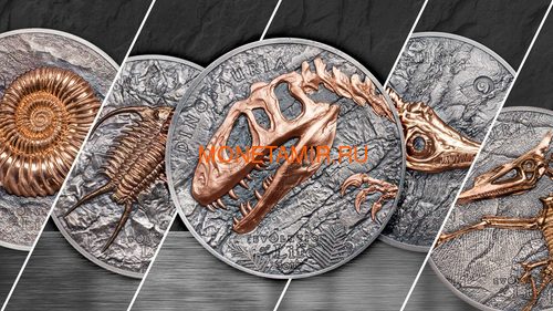 Монголия 500 тугриков 2019 Синраптор Эволюция (Mongolia 500T 2019 Evolution of Life Sinraptor 1oz Silver Coin).Арт.65 (фото, вид 4)