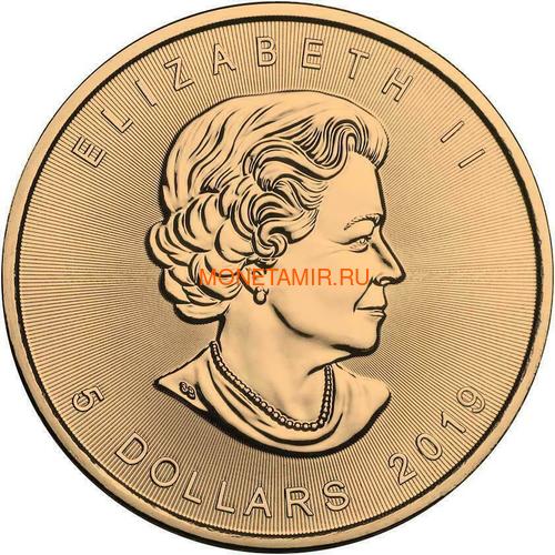 Канада 5 долларов 2019 Кленовый Лист Лягушка (2019 Canada 5$ Maple Leaf Bejeweled Frog 1oz Silver Coin).Арт.65 (фото, вид 3)