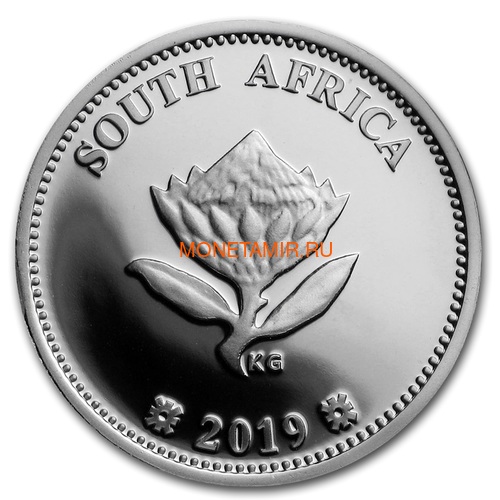 Южная Африка 2 ранда + 2,5 цента 2019 Аполлон 11 и Рейнджер Космос Набор 2 Монеты (2019 South Africa R2 and 2,5c Inventions Polymer Putty Moon Landing Silver Proof Set).Арт.000555857599/75 (фото, вид 5)