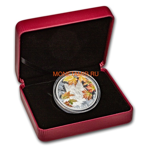  30  2019   (Canada 30$ 2019 Wily Wolf 2 Oz Silver Coin)..67 (,  2)