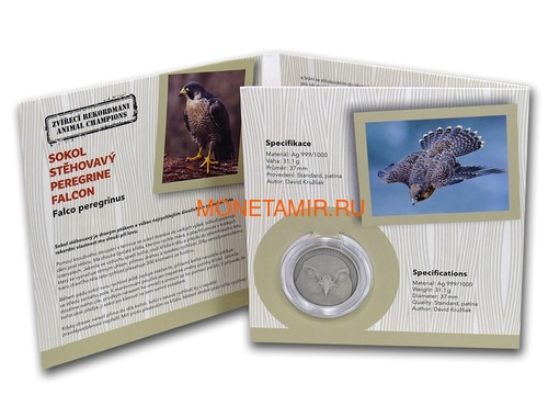 Ниуэ 1 доллар 2019 Сокол Сапсан Животные Чемпионы (Niue 1$ 2019 Peregrine Falcon Animal Champions 1 oz Silver Coin) Буклет.Арт.67 (фото, вид 3)
