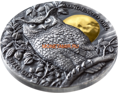 Ниуэ 5 долларов 2019 Ушастая Сова (Niue 5$ 2019 Long Eared Owl Asio Otus 2 oz Silver Coin).Арт.65 (фото, вид 1)