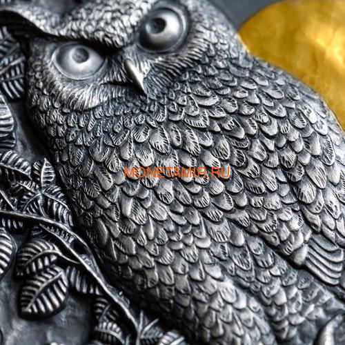  5  2019   (Niue 5$ 2019 Long Eared Owl Asio Otus 2 oz Silver Coin)..65 (,  2)
