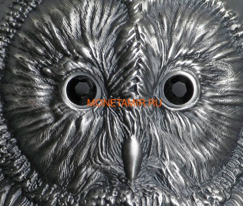 Монголия 1000 тугриков 2019 Уральская Сова Фигурка (Mongolia 1000T 2019 Ural Owl 3D 2 oz Silver Coin).Арт.65 (фото, вид 2)