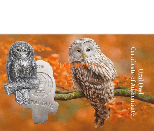 Монголия 1000 тугриков 2019 Уральская Сова Фигурка (Mongolia 1000T 2019 Ural Owl 3D 2 oz Silver Coin).Арт.65 (фото, вид 5)