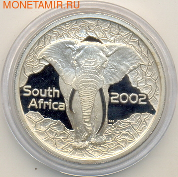 Слоны. Южная Африка 20 с 2002. (фото, вид 1)