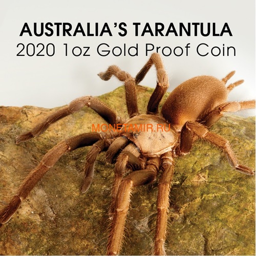  100  2020      (Niue 2020 $100 Tarantula Deadly and Dangerous 1oz Gold Proof Coin).88 (,  5)