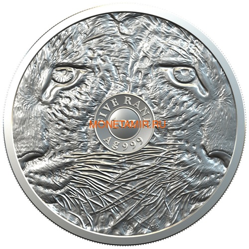   5  2020     (South Africa 5R 2020 Leopard Big Five 1oz Silver Coin) ..92 (,  1)