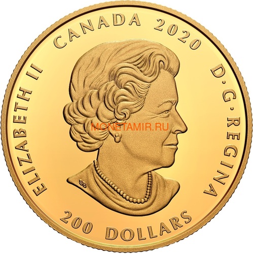 Канада 200 долларов 2020 Бриллиант Черная Метка Круг ( Canada 200$ 2020 Forevermark Black Label Round Diamond 1oz Gold Coin ).Арт.92 (фото, вид 2)