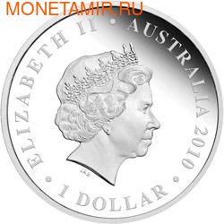 Австралия 1 доллар 2010.&quot;Празднование Австралии&quot; &quot;Бостон&quot; &quot;Крокодил&quot; (фото, вид 1)
