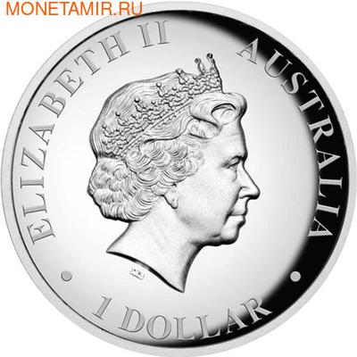 Австралия 1 доллар 2011.&quot;Кенгуру&quot;. (фото, вид 1)