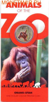 Серия «Животные зоопарка. Орангутанг» (фото, вид 2)