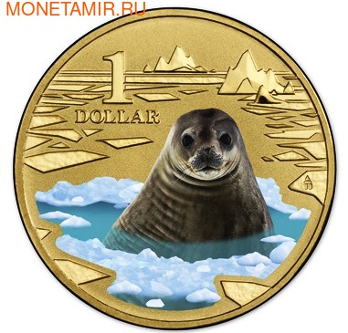 Австралия 1 доллар 2013. Тюлень Уэдделла (фото, вид 1)