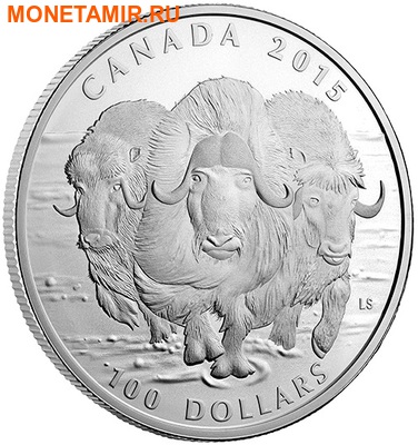 Канада 100 долларов 2015.Овцебык.Арт.60 (фото, вид 1)