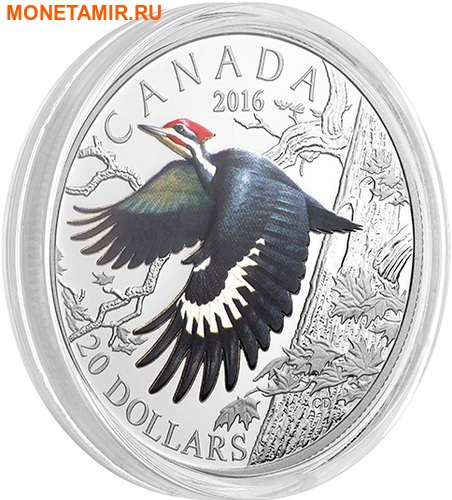 Канада 20 долларов 2016.Птица Хохлатая желна (Дятел).Арт.60 (фото, вид 1)