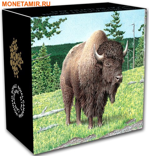 Канада 20 долларов 2016.Бизон серия Величественные животные.Арт.60 (фото, вид 3)