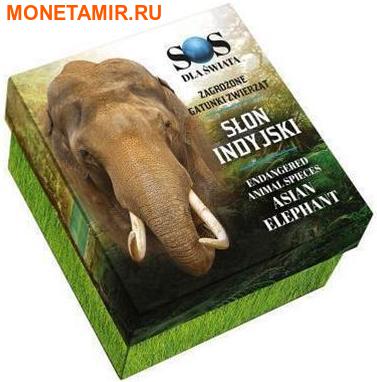 Ниуэ 1 доллар 2016.Азиатский Слон серия Вымирающие виды животных.Арт.60 (фото, вид 3)