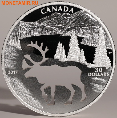 Канада 30 долларов 2017.Олень Карибу - Силуэт.Арт.60 (фото, вид 4)