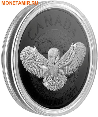  20  2017     (Canada 20C$ 2017 Nocturnal by Nature Barn Owl)..000487853779/60 (,  1)