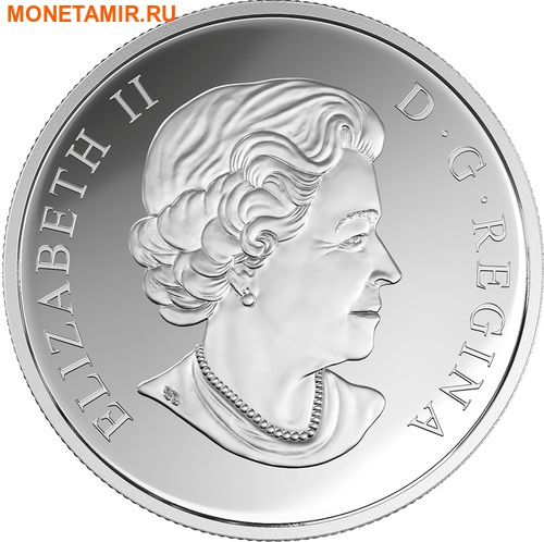  20  2017     (achillea ptarmica)..60 (,  2)