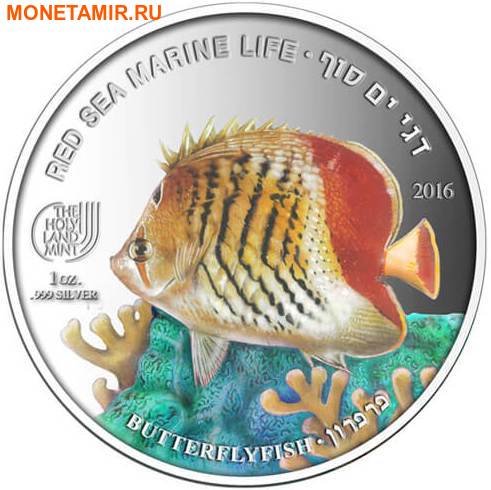  85  2016     Red Sea Marine Life ( 8 )..60 (,  16)