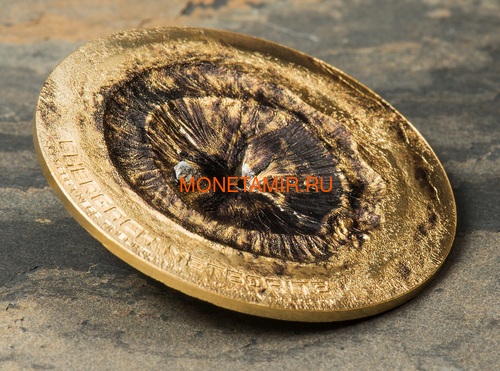   2  2017  Chergach (Cook Isl 2$ 2017 Chergach Meteorite 1/2Oz.999Silv)..60 (,  1)