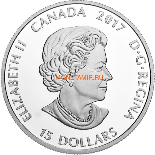 Канада 15 долларов 2017 Ушастая Сова (Canada 15$ 2017 Glow-In-The-Dark Coin Great Horned Owl).Арт.60 (фото, вид 3)