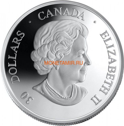Канада 30 долларов 2006 Канадарм Крис Хэдфилд Космос Голограмма (Canada 30$ 2006 Canadarm Space Hologram).Арт.000462254326/60 (фото, вид 1)