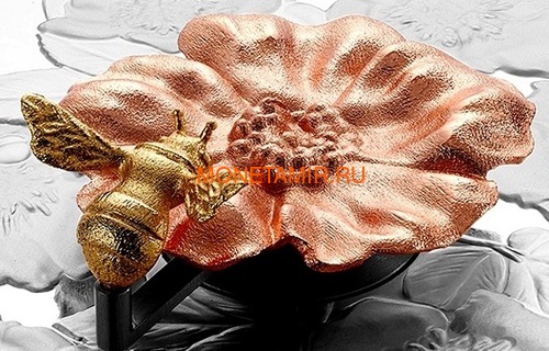 Канада 50 долларов 2019 Шмель Цветок Роза (Canada 50$ 2019 Bumble Bee and the Bloom Silver Coin 5oz).Арт.69 (фото, вид 4)