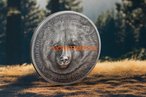  500  2019       (Mongolia 500T 2019 Mongolian Gobi Bear Wildlife Protection 1oz Silver Coin)..67 (,  1)