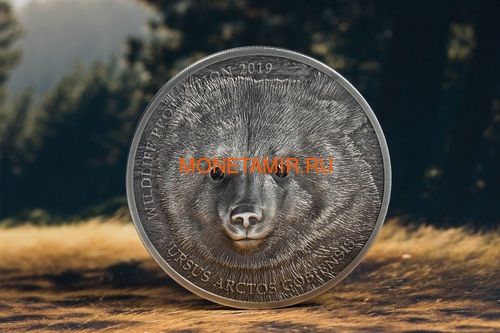  500  2019       (Mongolia 500T 2019 Mongolian Gobi Bear Wildlife Protection 1oz Silver Coin)..67 (,  2)