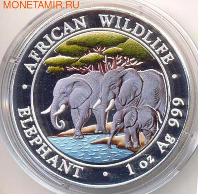 Слоны. Сомали 100 шиллингов 2013. (фото)