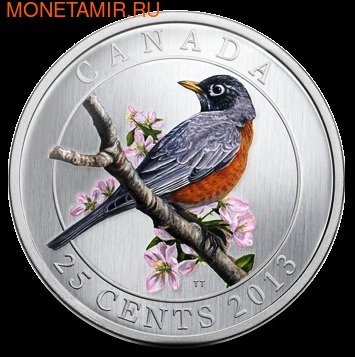 Канада 25 центов 2013. Странствующий дрозд (фото)