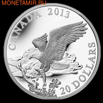 Канада 20 долларов 2013. Белоголовый орлан: Возвращение с охоты (фото)