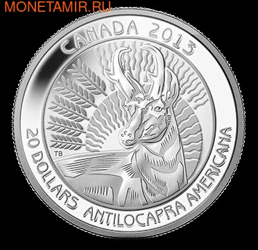 Канада 20 долларов 2013. Вилорог (фото)