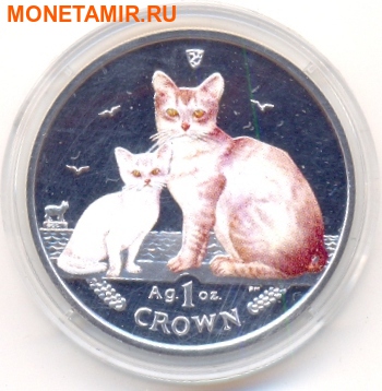   1  2008.   ()  ..000148218325 ()