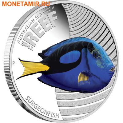  50  2012. -     II  ..000100040311 ()