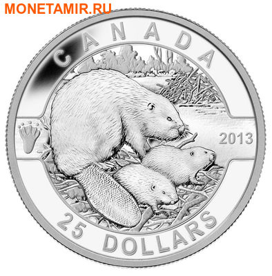 Канада 25 долларов 2013.Бобер с детенышами.Арт.000254442053/60 (фото)