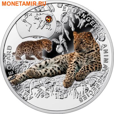 Ниуэ 1 доллар 2014.Амурский Леопард – Вымирающие виды животных.Арт.000465249785/60 (фото)