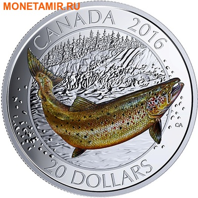 Канада 20 долларов 2016.Атлантический лосось.Арт.60 (фото)