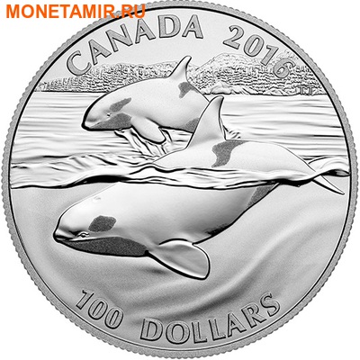 Канада 100 долларов 2016.Кит.Арт.60 (фото)