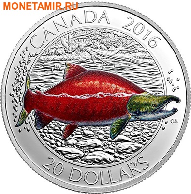 Канада 20 долларов 2016.Нерка.Арт.60 (фото)