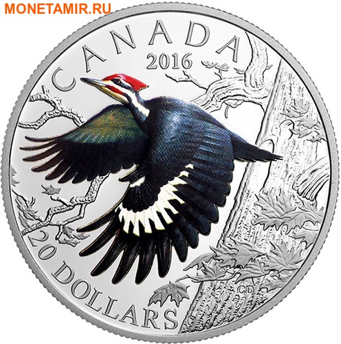 Канада 20 долларов 2016.Птица Хохлатая желна (Дятел).Арт.60 (фото)