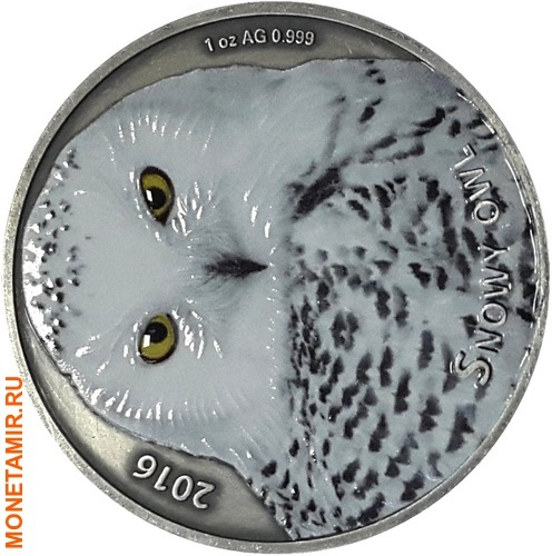 Буркина Фасо 1000 франков 2016.Сова - Snowy owl (Эффект реальных глаз).Арт.60 (фото)