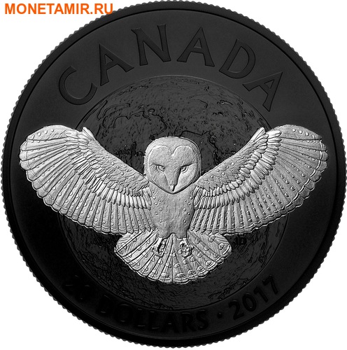 Канада 20 долларов 2017 Сова – Ночная природа (Canada 20C$ 2017 Nocturnal by Nature Barn Owl).Арт.000487853779/60 (фото)