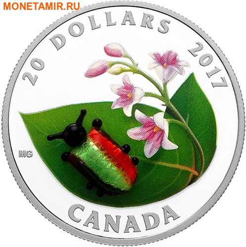  20  2017   (Dogbane Beetle)  ..60 ()