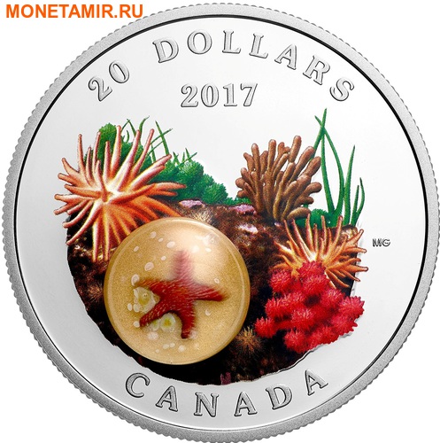 Канада 20 долларов 2017 Морская звезда серия Под водой.Арт.60 (фото)
